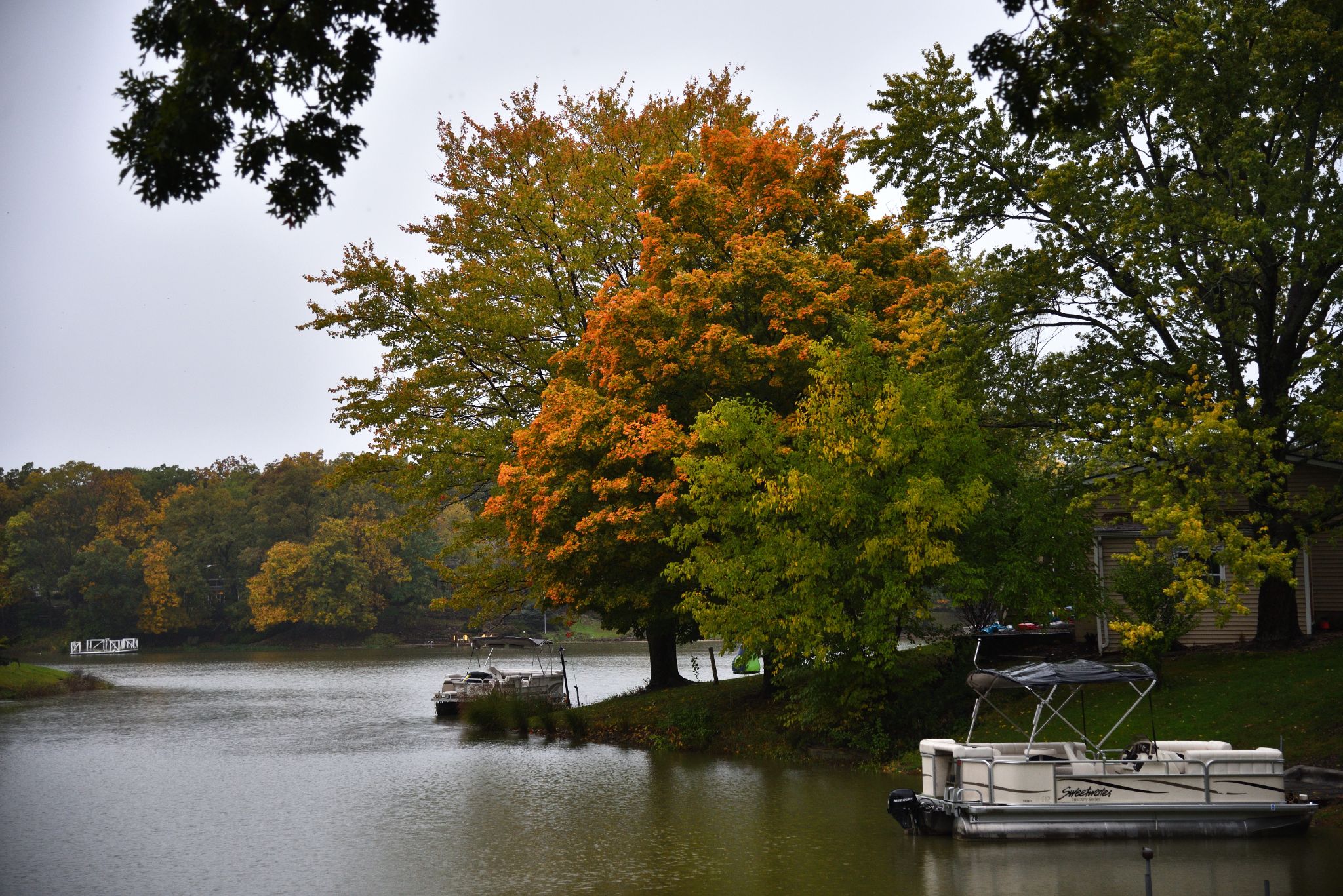 Fall colors on our channel