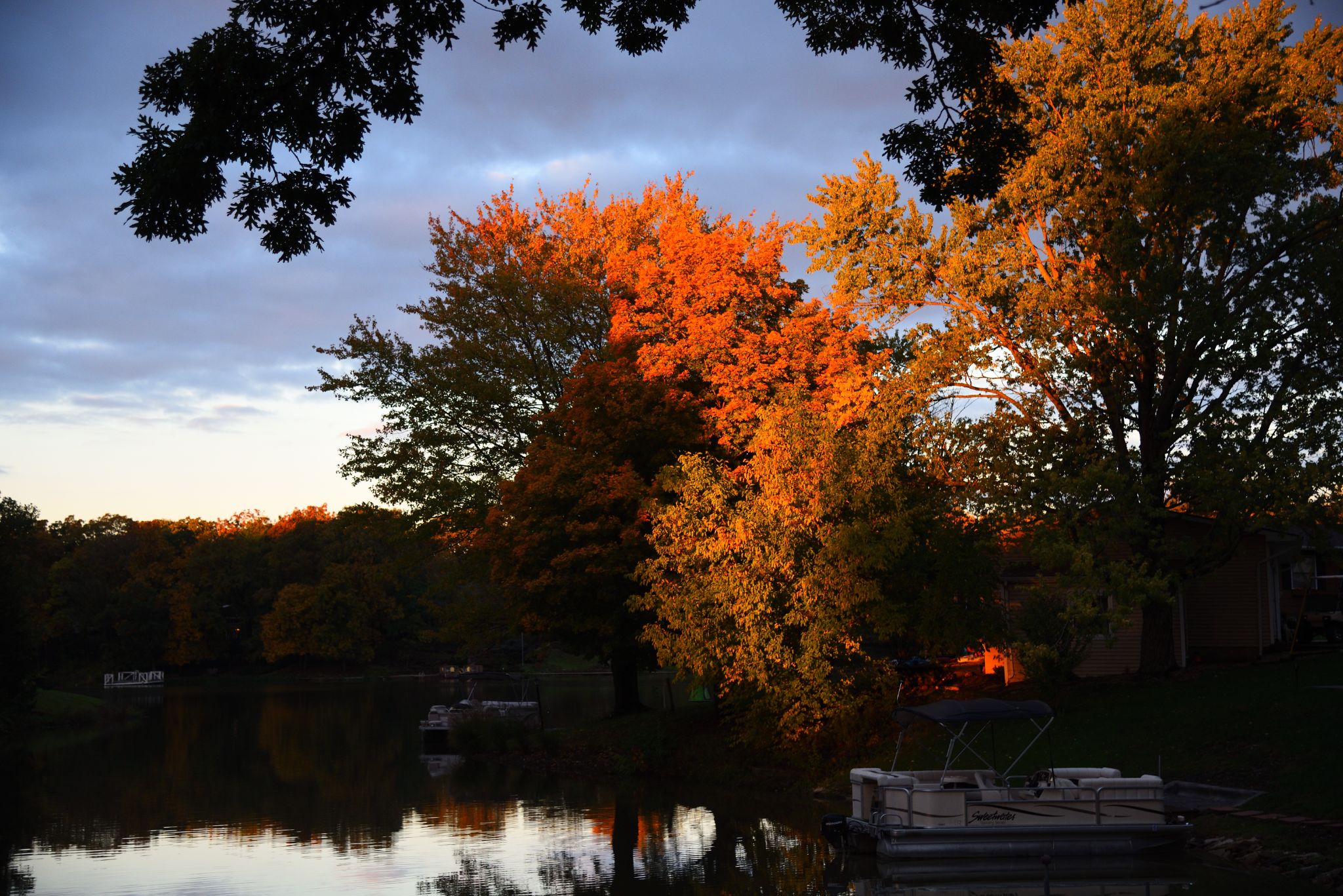 Fall colors on our channel