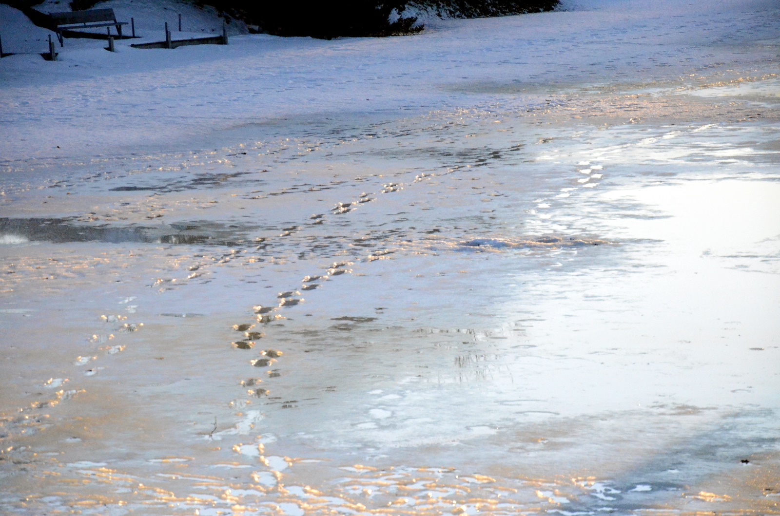 Foot prints in the snow