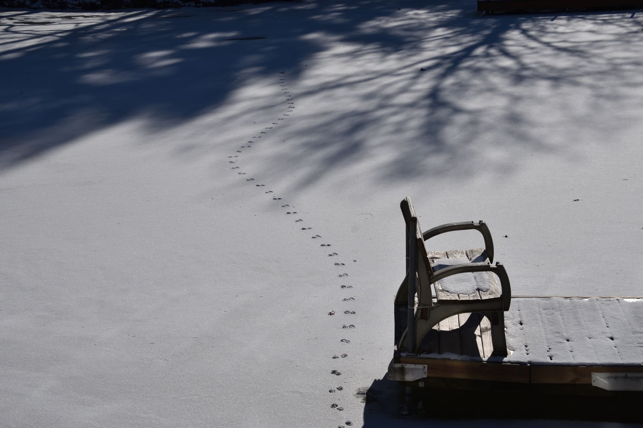 Cold day at the lake