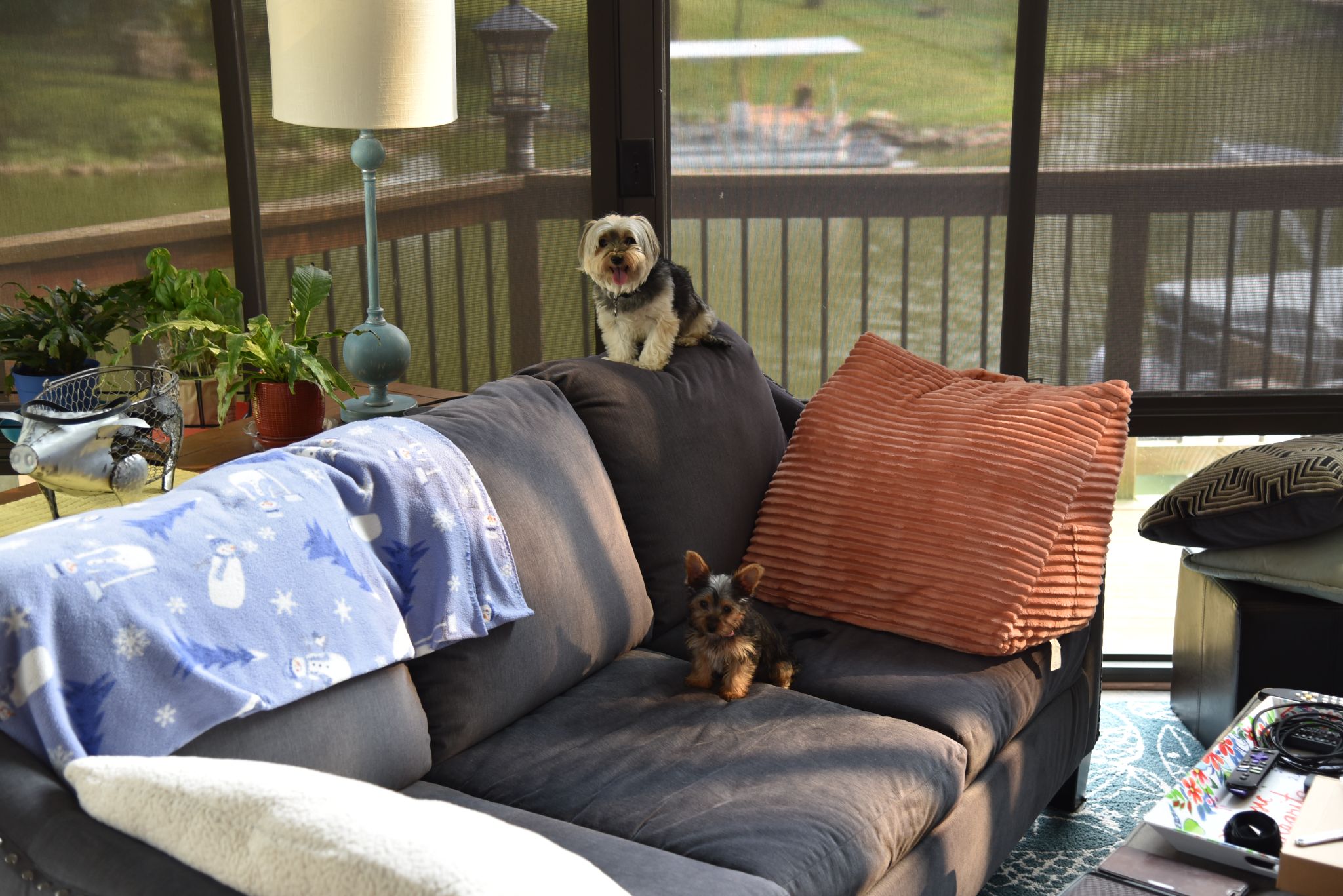 Lucy & Daisy at the lake