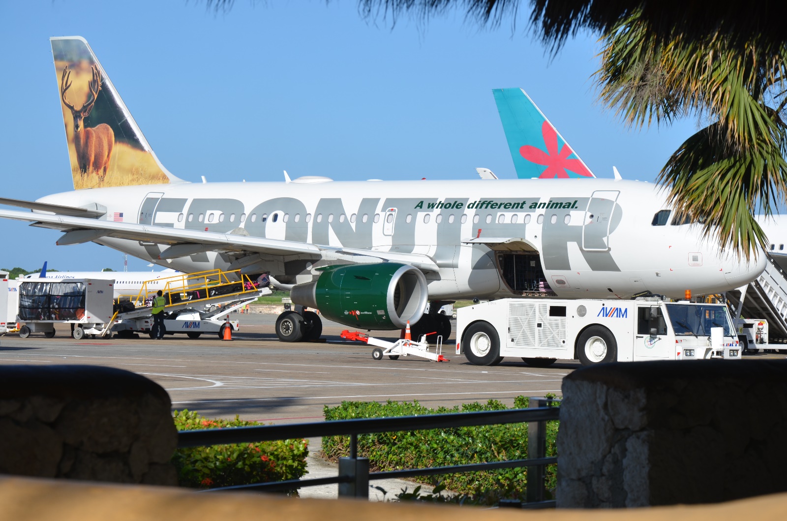 Dominican Republic Airport