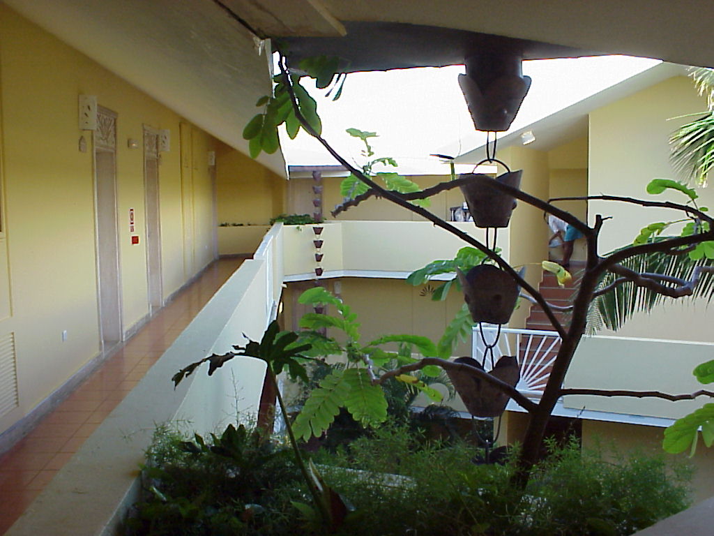 Dominican Republic Secrets 2003