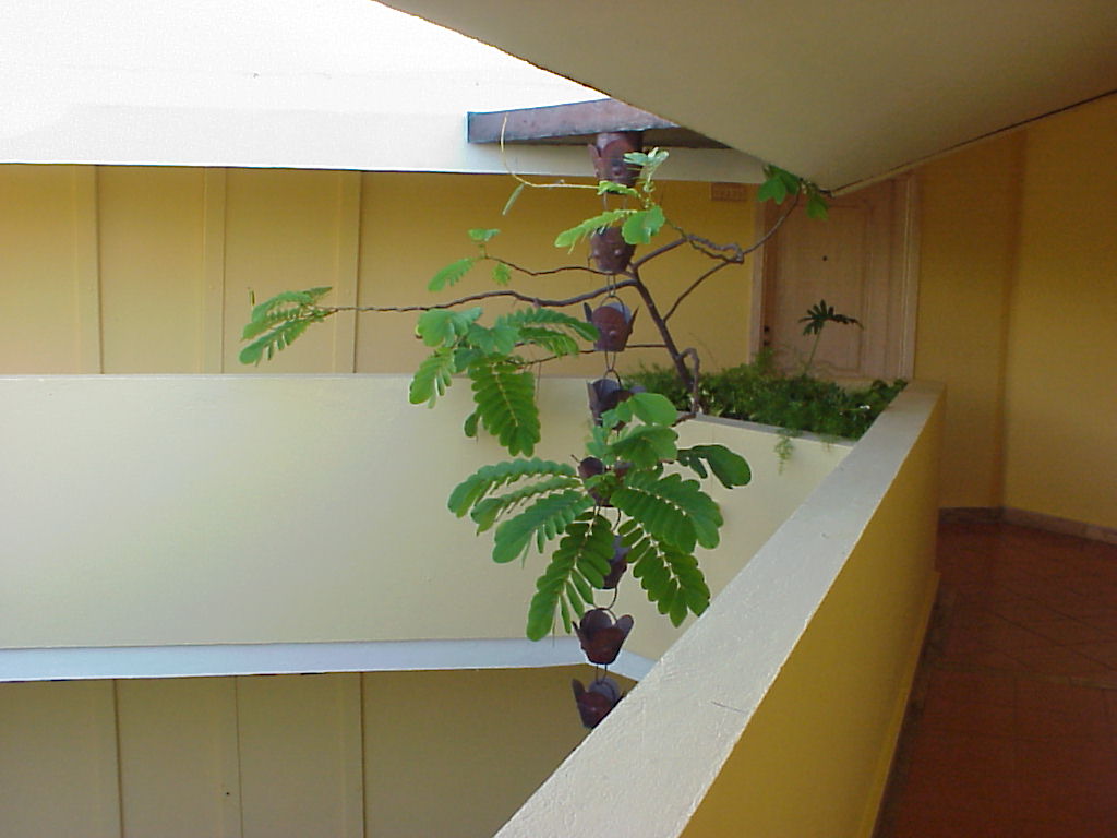 Dominican Republic Secrets 2003