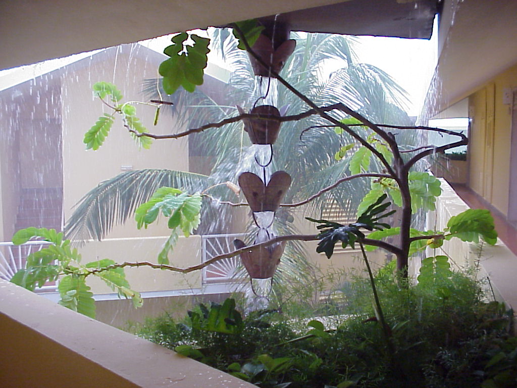 Dominican Republic Secrets 2003