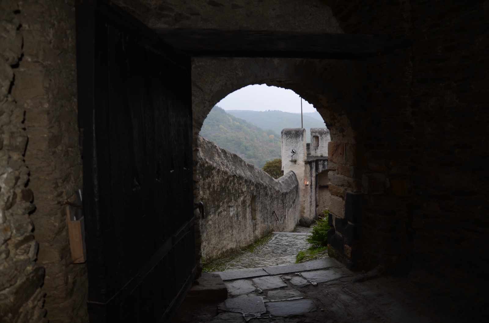 Koblenz, Middle Rhine & Rudeshiem