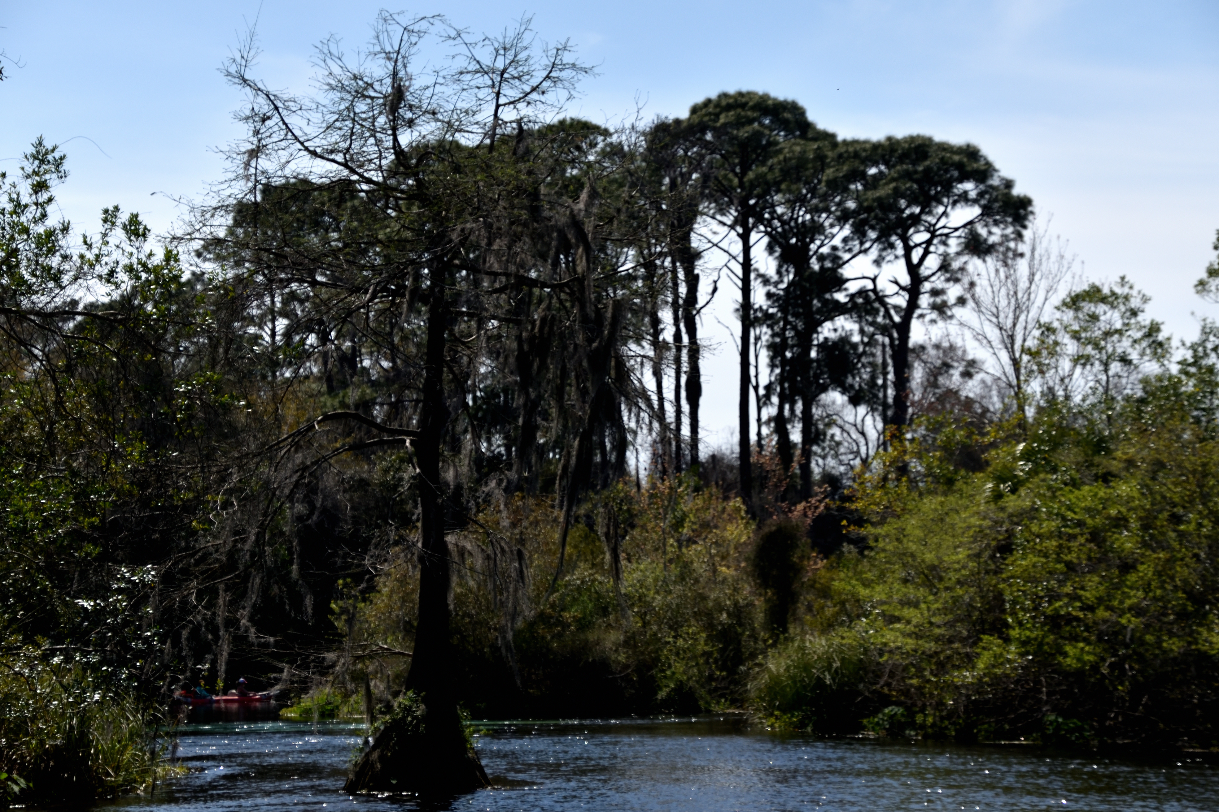 Weeki Wachee Springs State Park