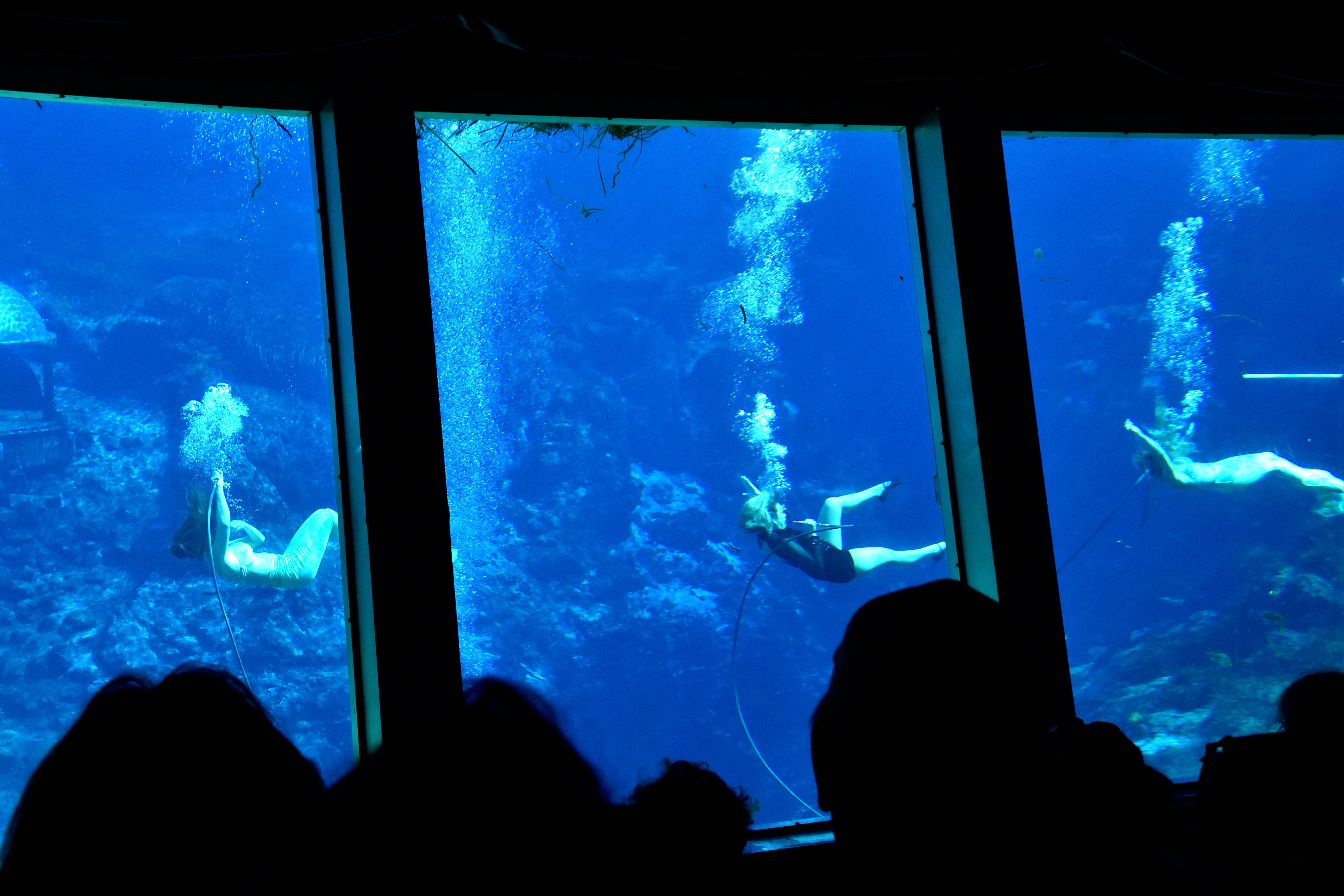 Weeki Wachee Springs State Park