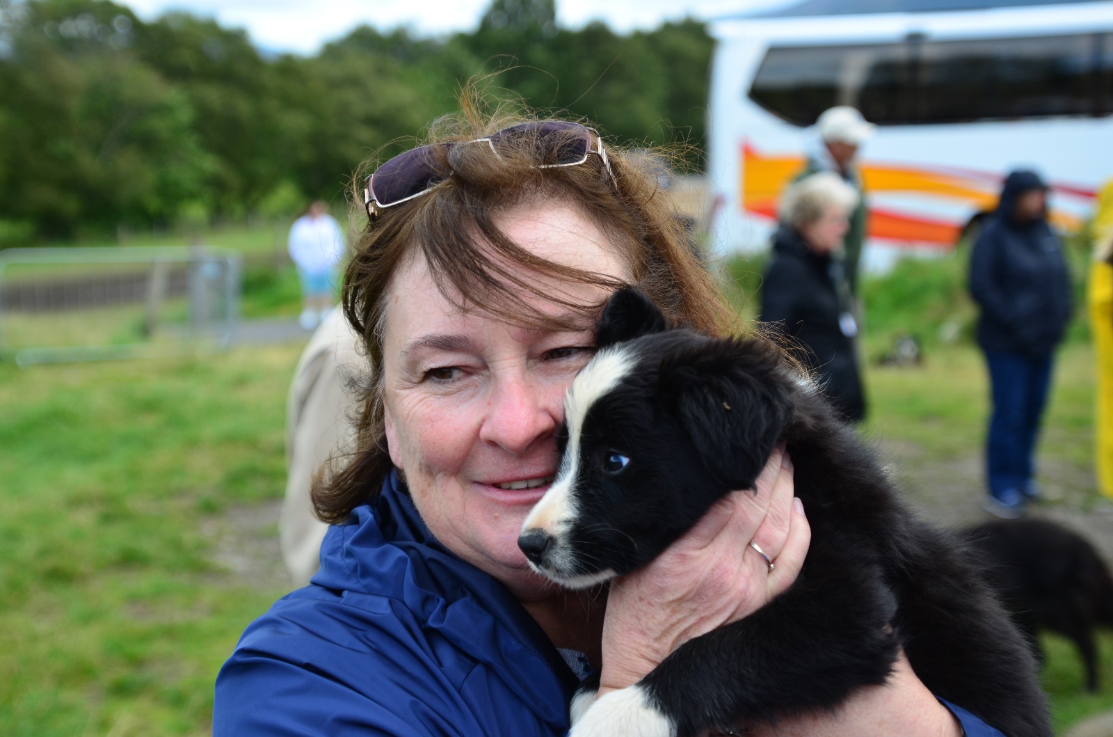 Sheepdog Demonstration