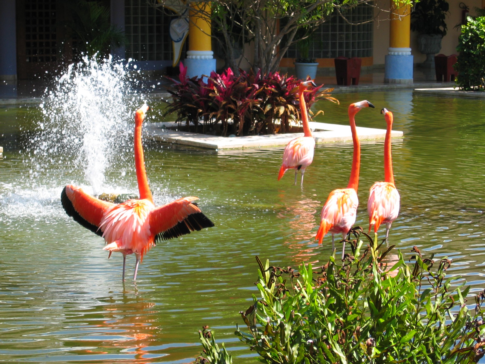 Playa de Carmen - 2004