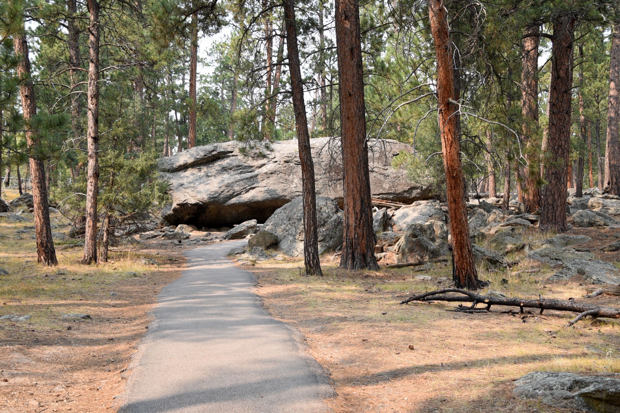 Devils Tower Wyoming